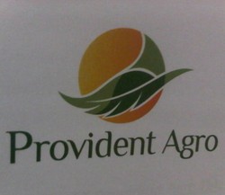 Ingin Harga Maksimal, Provident Pangkas IPO Jadi 13,4%