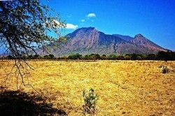 Terpesona Kecantikan Afrika van Java