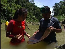 Mendulang Emas di Kabupaten Sijunjung