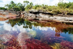Unik! Sungai Paling Cantik di Dunia Ini Punya 5 Warna