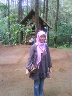 Belanja Bulanan Hemat Cukup Sunlight Saja