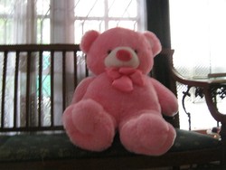 Terima Kasih Sabun Cuci Piring Sunlight!