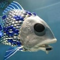 7 Robot Canggih yang Terinspirasi dari Hewan