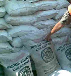 Suswono Kaji Ulang Sistem Distribusi Pupuk