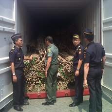 4 Penyelundupan Barang Ekspor Digagalkan Bea Cukai