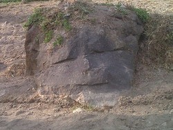 Batu Mirip Kepala Bayi di Garut Diberi Nama Batu Menangis