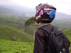 Kebun Teh Kemuning