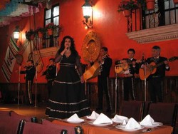 Dari Telenovela, Tortilla, Hingga Mariachi di Mexico City