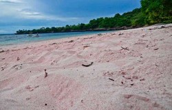 Tangsi, Pantai Cantik Berpasir Pink di Lombok