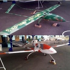 Bising, Pesawat Tanpa Awak BPPT Tak Puaskan Menristek