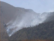 10 Hektare Hutan Gunung Guntur di Garut Ludes Terbakar