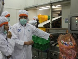 Festival Ayam dan Telur Akan Kembali Digelar