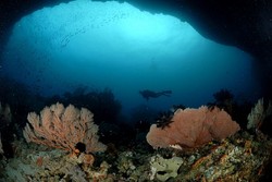 Diving di Tanjung Setan, Berani?