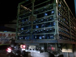 Air Mineral Galon Langka, Ini Penjelasan Si Juragan Galon