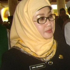 Bupati Indramayu Jadi Kandidat Dede Yusuf, Yance: Istri Saya Laku