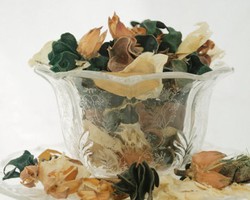 5 Cara Membuat Pengharum Ruangan Alami dari Tanaman Herbal