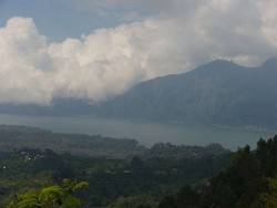 Asyik, Ada Lomba Anjing Kintamani di Bali