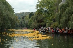 Lucu! Ada Festival Lomba Bebek Karet di Jerman