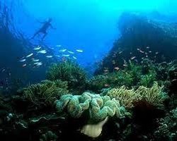 Rusia Bidik Bisnis Pariwisata ke Indonesia