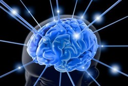 Manusia Sering Kena Kanker Karena Otaknya Besar