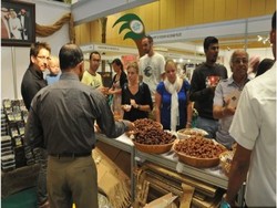 Ada 500 Jenis Kurma di Pameran Kurma UEA