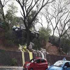 Muatan Truk Nyangkut di Pohon di Cawang Dipindahkan, Lalin Tersendat
