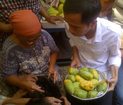  Berkah Dibeli Jokowi, Mangga Rominah Kini Laris Manis