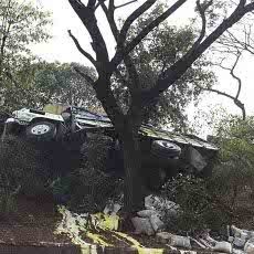 Inilah Truk yang Nyangkut di Pohon di Kawasan Cawang