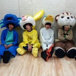 B1A4 Jalan-jalan di Seoul dengan Kostum Hewan