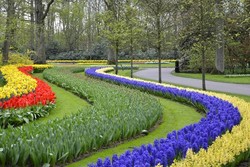 Kebun Paling Romantis di Negeri Kincir Angin