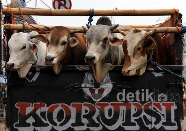 Penjualan Hewan Kurban Mulai Marak