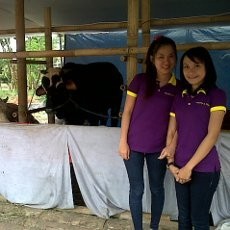 SPG pun Kini Promosikan Hewan Kurban