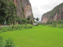 Hatiku Terpukau di Lembah Harau