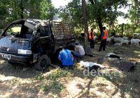 Pick Up Pengangkut Hewan Kurban Terguling