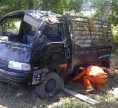 Pick Up Terguling di Km 29.250, Tiga Ekor Kambing Mati