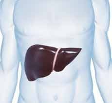 Yang Terjadi Pada Tubuh Kalau Hati Kotor