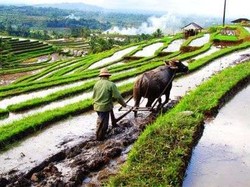 Ini Dia 6 Destinasi yang Tak Biasa di Bali
