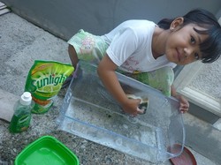 SUNLIGHT, One for All