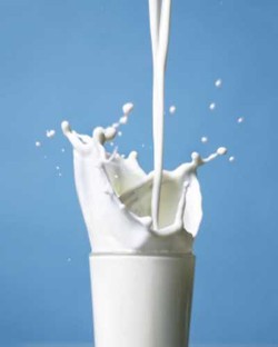 Selain Bernutrisi Hebat, Susu Juga Punya Efek Negatif