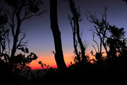 Siluet Senja