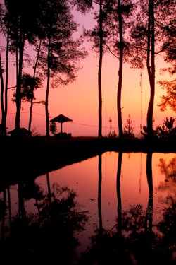Refleksi Pagi