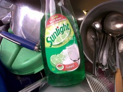 Dengan Sunlight, Keluarga Besar pun Tetap Berkilau