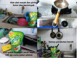 The Magic of Sunlight