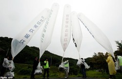 Kuda dan Bayonet Benamkan Lawan Obama