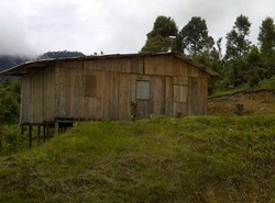 Hidup di Perbatasan Papua, Air Mineral Sampai Nasi Padang Serba Mahal