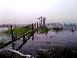 Menembus Kabut Argopuro