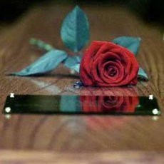 Dikira Tewas, Pria Brasil Tiba-tiba Muncul di Acara Penguburannya