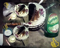 Habis Gelap Terbitlah Sunlight