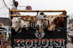 Ini Dia Tips Membeli Hewan Kurban