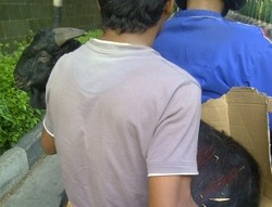 Idul Adha Tiba, Motor Berganti Peran